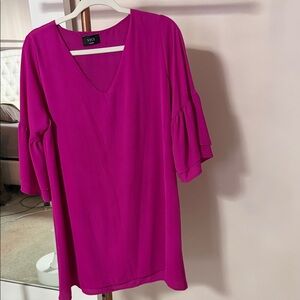Vici Fuchsia V-Neck Blouse